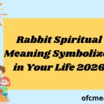 Rabbit Spiritual Meaning Symbolizes in Your Life 2026