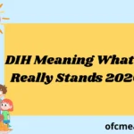DIH Meaning What It Really Stands 2026