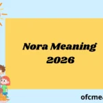 Nora Meaning 2026