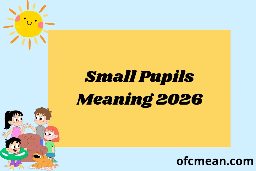 Small Pupils Meaning 2026