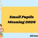 Small Pupils Meaning 2026