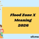 Flood Zone X Meaning 2026