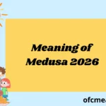 Meaning of Medusa 2026