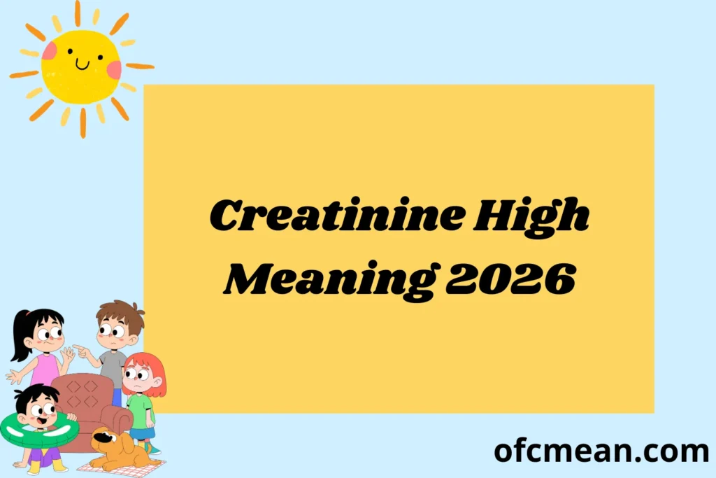 Creatinine High Meaning 2026
