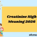 Creatinine High Meaning 2026