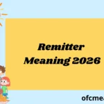 Remitter Meaning 2026