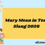 Mary Mean in Text Slang 2026