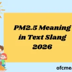 PM2.5 Meaning in Text Slang 2026