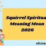 Squirrel Spiritual Meaning Mean 2026