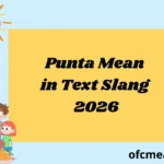 Punta Mean in Text Slang 2026