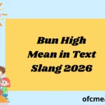 Bun High Mean in Text Slang 2026
