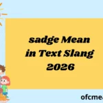 sadge Mean in Text Slang 2026