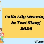Calla Lily Meaning in Text Slang 2026
