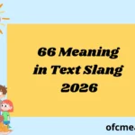66 Meaning in Text Slang 2026