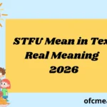 STFU Mean in Text Meaning 2026