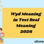 Wyd Meaning in Text Real Meaning 2026