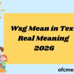 Wsg Mean in Text Real Meaning 2026