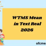 WTMS Mean in Text Real 2026