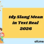 tdy Slang Mean in Text Real 2026