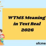 WTMS Meaning in Text Real 2026