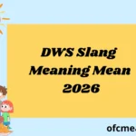 DWS Slang Meaning Mean 2026