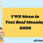 YWA Mean in Text Real Meaning 2026