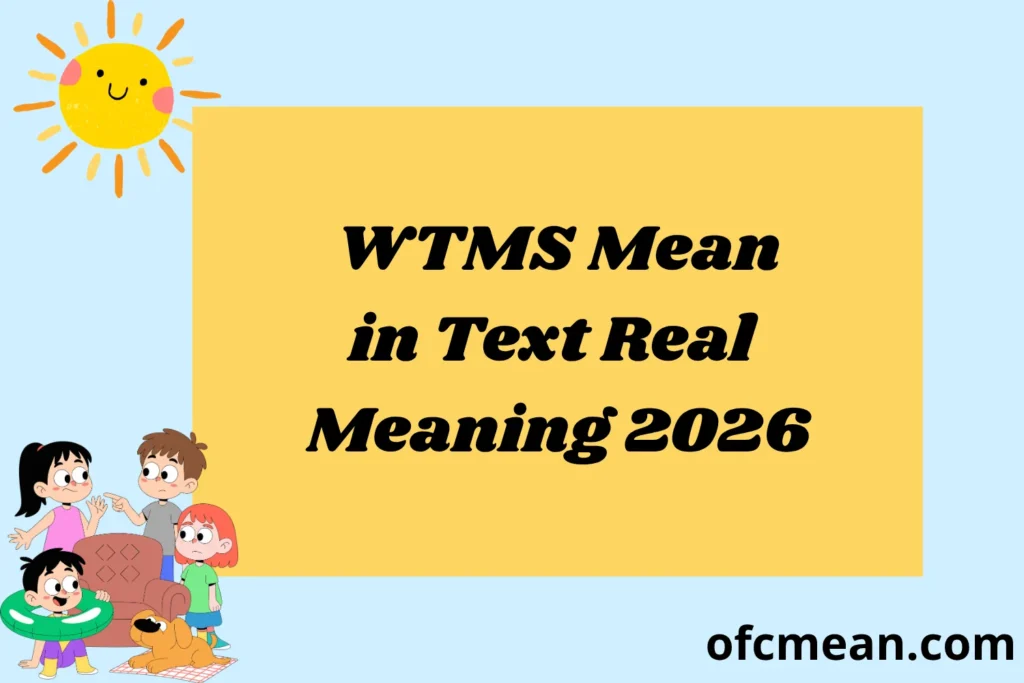 What Does WTMS Mean in Text Real Meaning Examples 2026