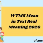 What Does WTMS Mean in Text Real Meaning Examples 2026