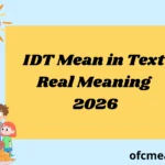 IDT Mean in Text Real Meaning 2026