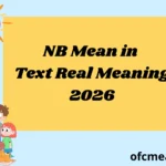 What Does NB Mean in Text Real Meaning Examples 2026