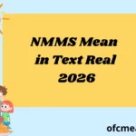 NMMS Mean in Text Real 2026