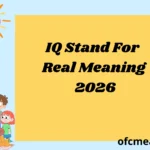 IQ Stand For Real Meaning 2026
