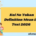 Koi No Yokan Definition Mean in Text 2026