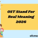 OST Stand For Real Meaning 2026
