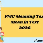 What Does PMU Meaning Text Mean in Text Real Meaning 2026