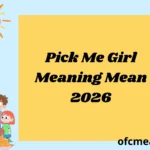 Pick Me Girl Meaning Mean 2026