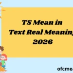 TS Mean in Text Real Meaning 2026
