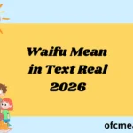 Waifu Mean in Text Real 2026