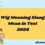 Wig Meaning Slang Mean in Text 2026