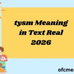 tysm Meaning in Text Real 2026