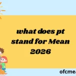 what does pt stand for Mean 2026