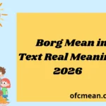 What Does What Is a Borg Mean in Text Real Meaning Use 2026