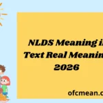 NLDS Meaning in Text Real Meaning 2026