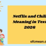 Netflix and Chill Meaning in Text 2026