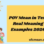 POV Mean in Text Real Meaning Examples 2026