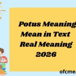 Potus Meaning Mean in Text Real Meaning 2026