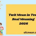 Twit Mean in Text Real Meaning 2026
