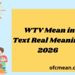 WTV Mean in Text Real Meaning 2026
